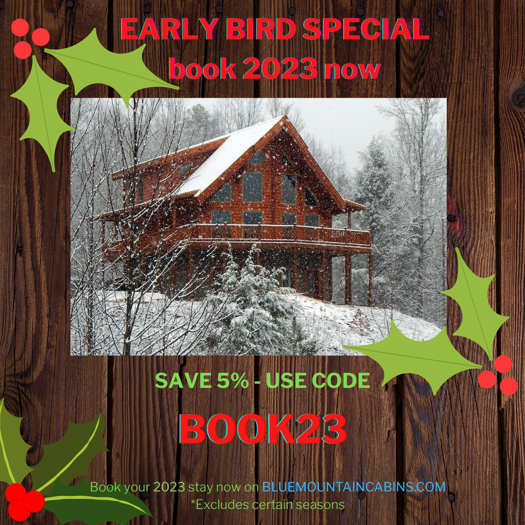 EARLY BIRD SPECIAL - 5% OFF with code BOOK23