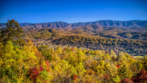 Unobstructed Panoramic View