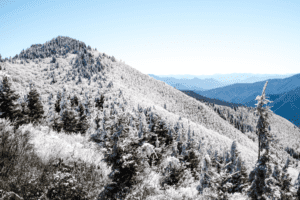 snowfall in national park