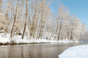 winter stream smoky mountains