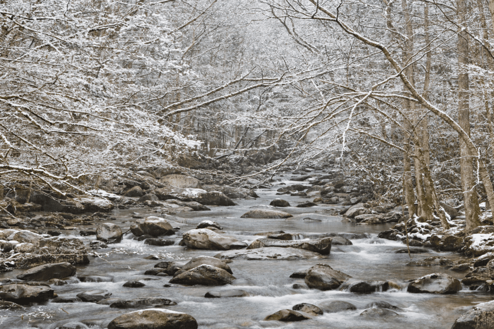 winter stream smoky mountains