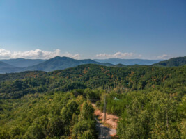 Peak of Joy Lodge