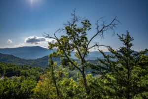 Peak of Joy Lodge