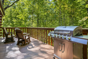 The main level back deck also has a new propane grill