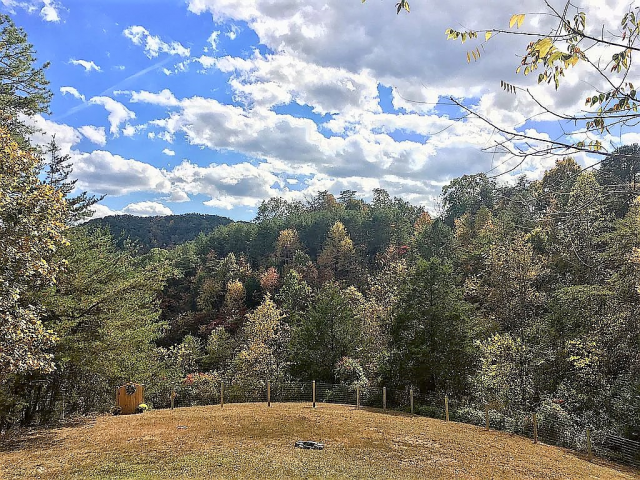 View of Pine Mountain from the back porch. 