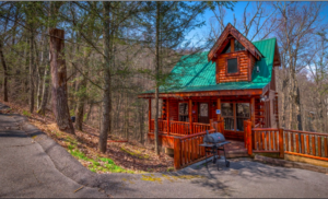 Arbor Place Cabin Rental