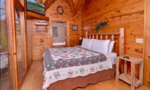 Arbor Place Cabin Rental