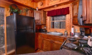 Arbor Place Cabin Rental