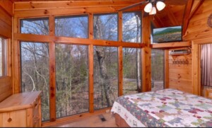 Arbor Place Cabin Rental