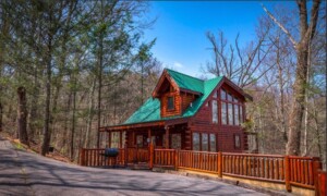 Arbor Place Cabin Rental