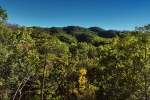 Smoky Mountain Splendor