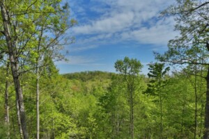 Balsam Mist Lodge