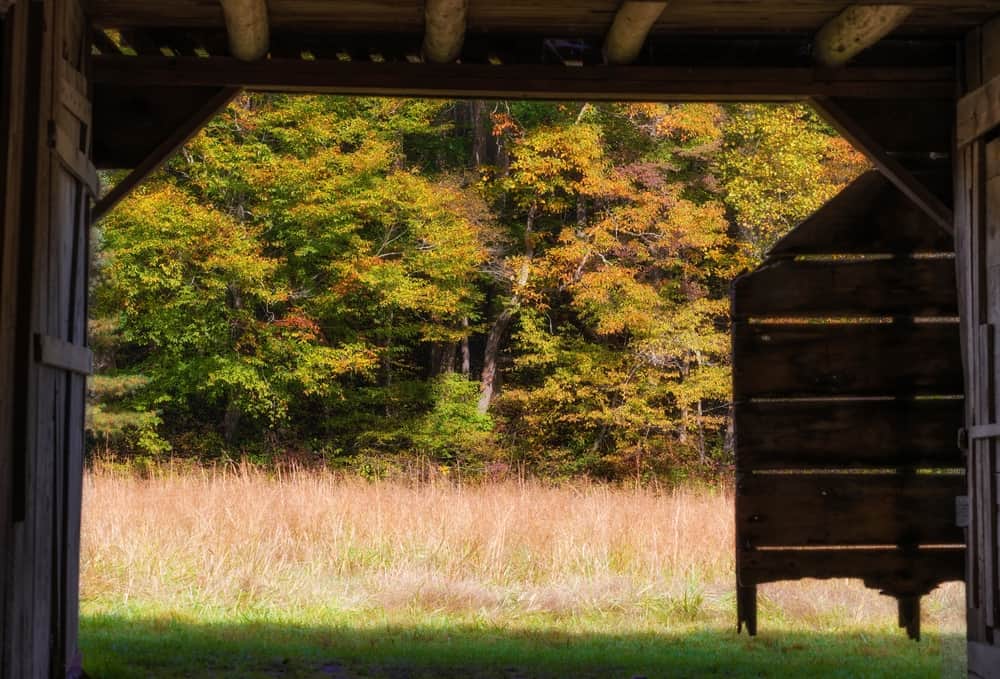 Cataloochee barn