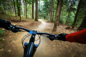 mountain biking trail through forest