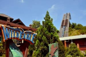 Wild Eagle Roller Coaster at Dollywood