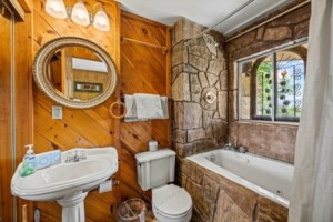 Downstairs Jacuzzi Bath