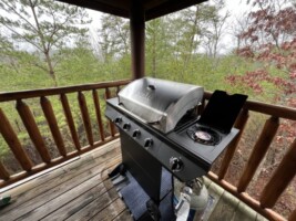 Propane Grill on back deck