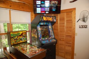 Pinball and 50 game Multicade