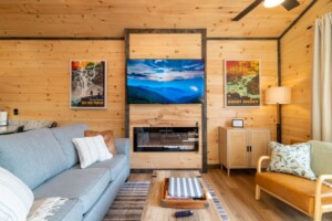 65 Smart TV/Electric Fireplace