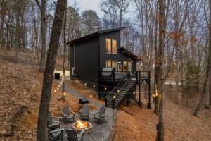 Fire Pit/Back Cabin/Park Grill