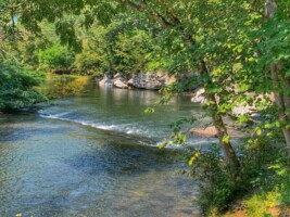 Little Pigeon River