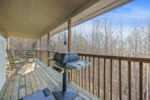 Four Cubs Cabin