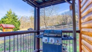 Cabin Porch