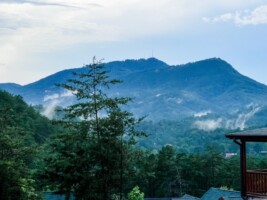 Bear Waves Smoky Mountain Pool Cabin