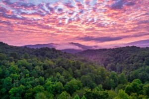 LeConte Lookout