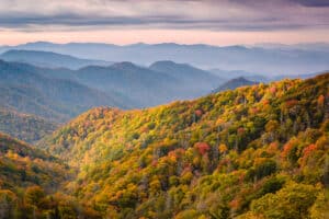 fall foliage in the Smoky Mountains