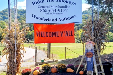 Wonderland Antiques