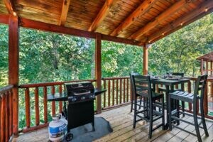 Outdoor dining and propane grill.