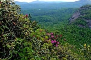 Chimney tops trail during spring