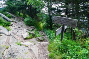 Appalachian Trail at Kuwohi
