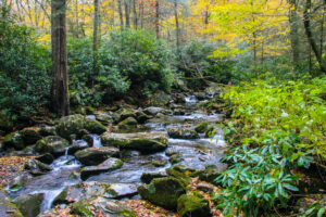 Ramsey Cascades Trail stream
