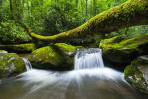 roaring fork in the smoky mountains