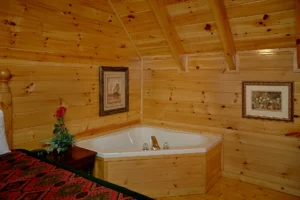 A Mountain View Theater Lodge