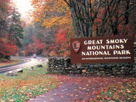 A Mountain View Theater Lodge