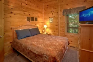 A Mountain View Theater Lodge