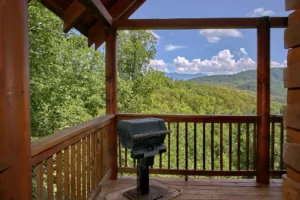 A Mountain View Theater Lodge