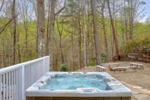 The Skybox Lodge