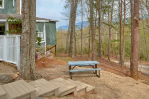 The Skybox Lodge