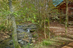 Creeksong