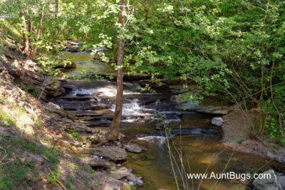Above The Falls #144