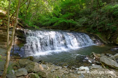 Above The Falls #144