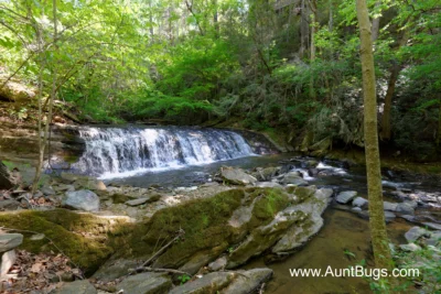 Above The Falls #144