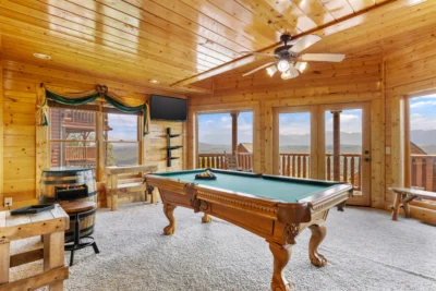 Tennessee Treasure #232