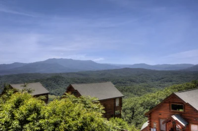 Tennessee Treasure #232