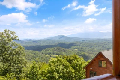 Tennessee Treasure #232