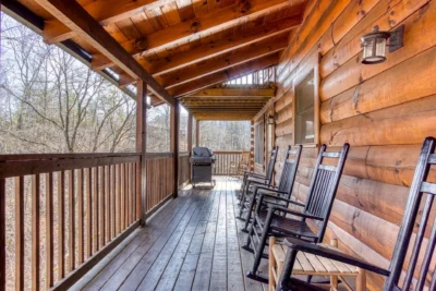 The Wildlife Lodge